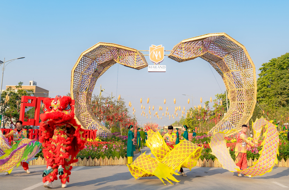 Đường Hoa Hà Nội 2025 tại homesgreens.com