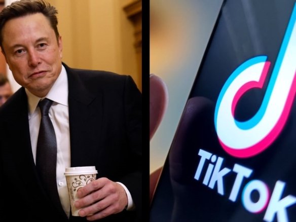 elon musk tiktok từ homesgreens.com