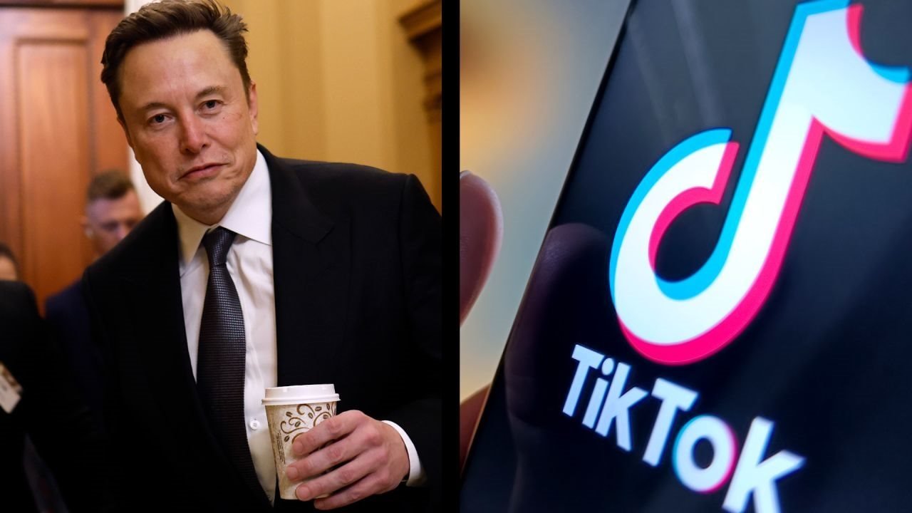 elon musk tiktok từ homesgreens.com