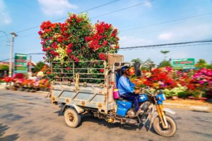 Người miền Tây ‘chở Tết’ về TP.Hồ Chí Minh