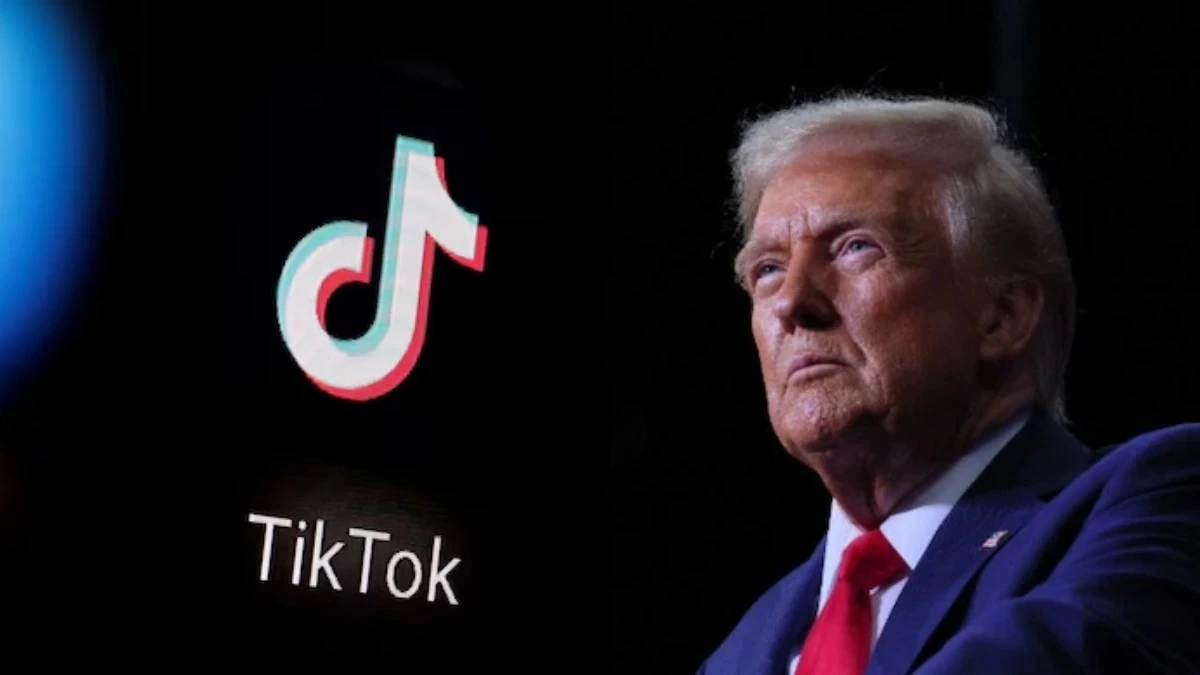 tiktok mỹ trump từ homesgreens.com