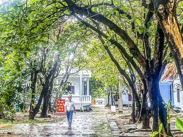 trường sa màu xanh từ homesgreens.com