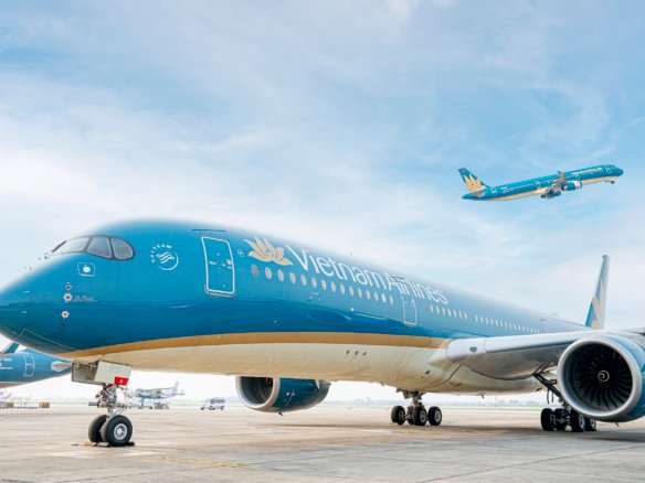 vietnamairline lãi 2025 từ homesgreens.com