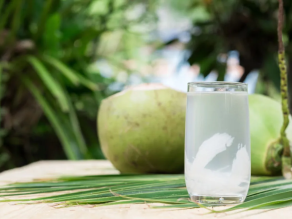 dừa tươi xuất khẩu 2025 từ homesgreens.com