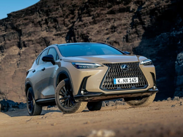 Lexus NX từ homesgreens.com
