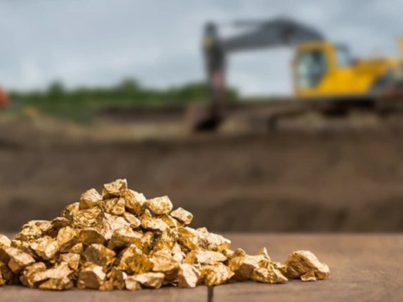 mỏ vàng việt nam từ homesgreens.com