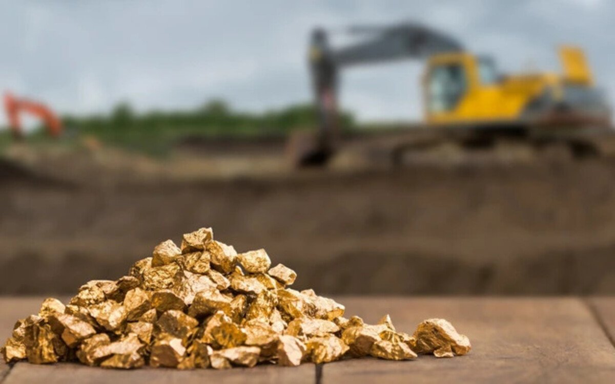 mỏ vàng việt nam từ homesgreens.com