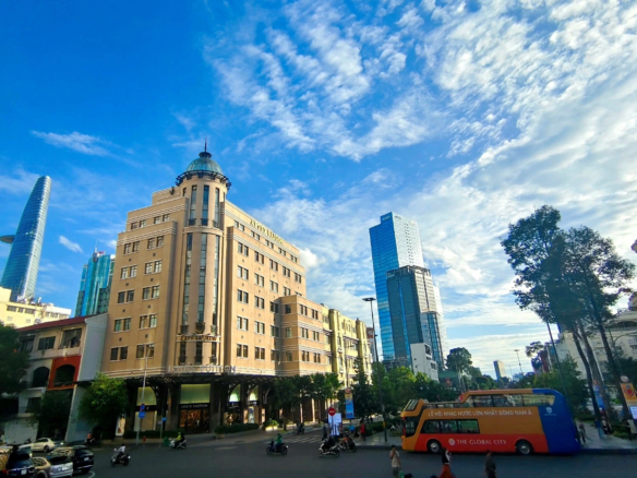 Phương Sài Gòn Hồ Chí Minh từ homesgreens.com