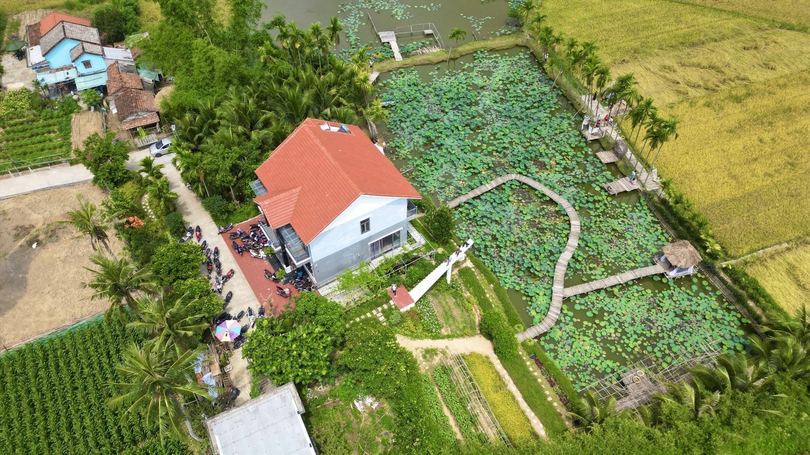 tách thửa luật đất đai 2025 từ homesgreens.com