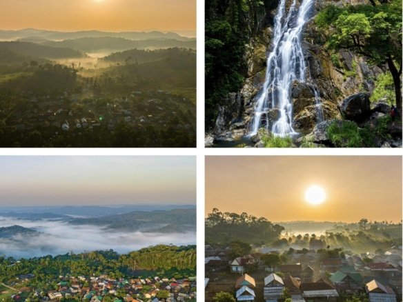 cảnh thiên nhiên Bình Định từ homesgreens.com