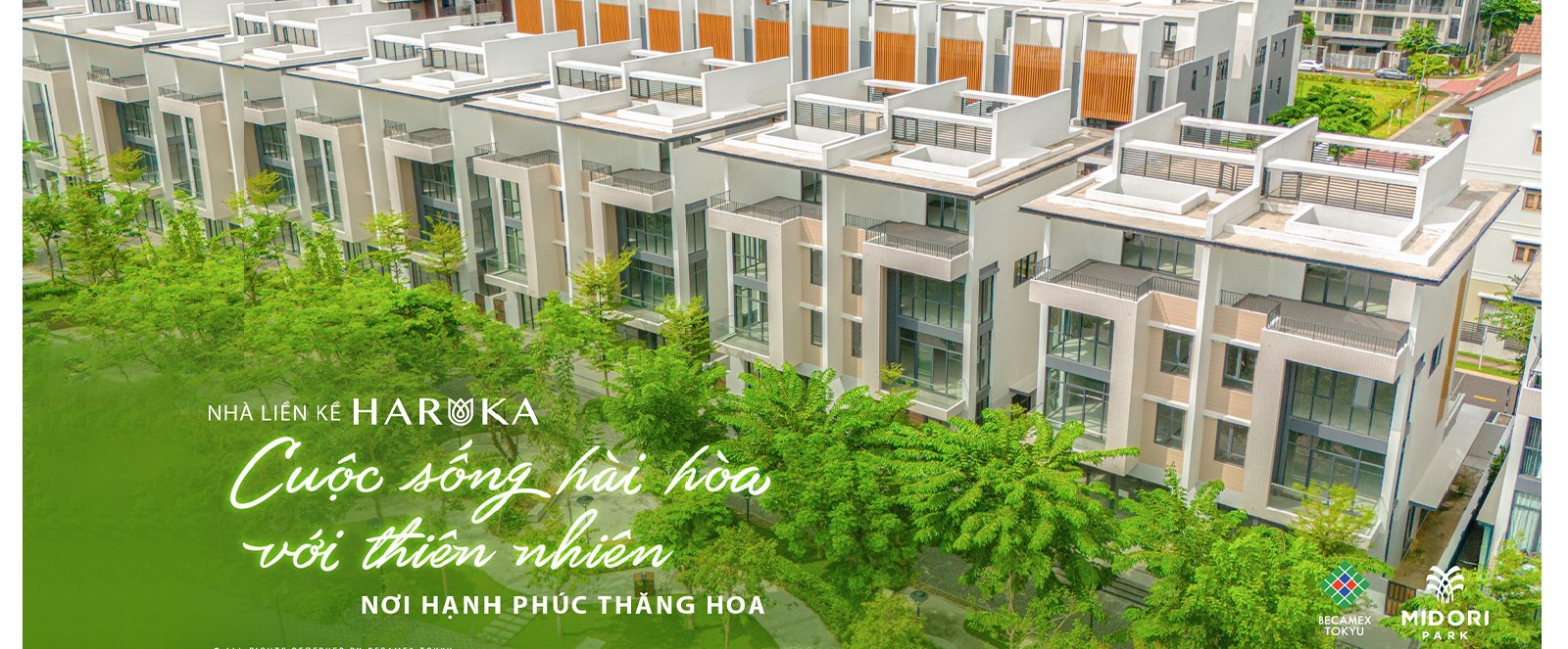 nhà phố liền kề HARUKA từ homesgreens.com