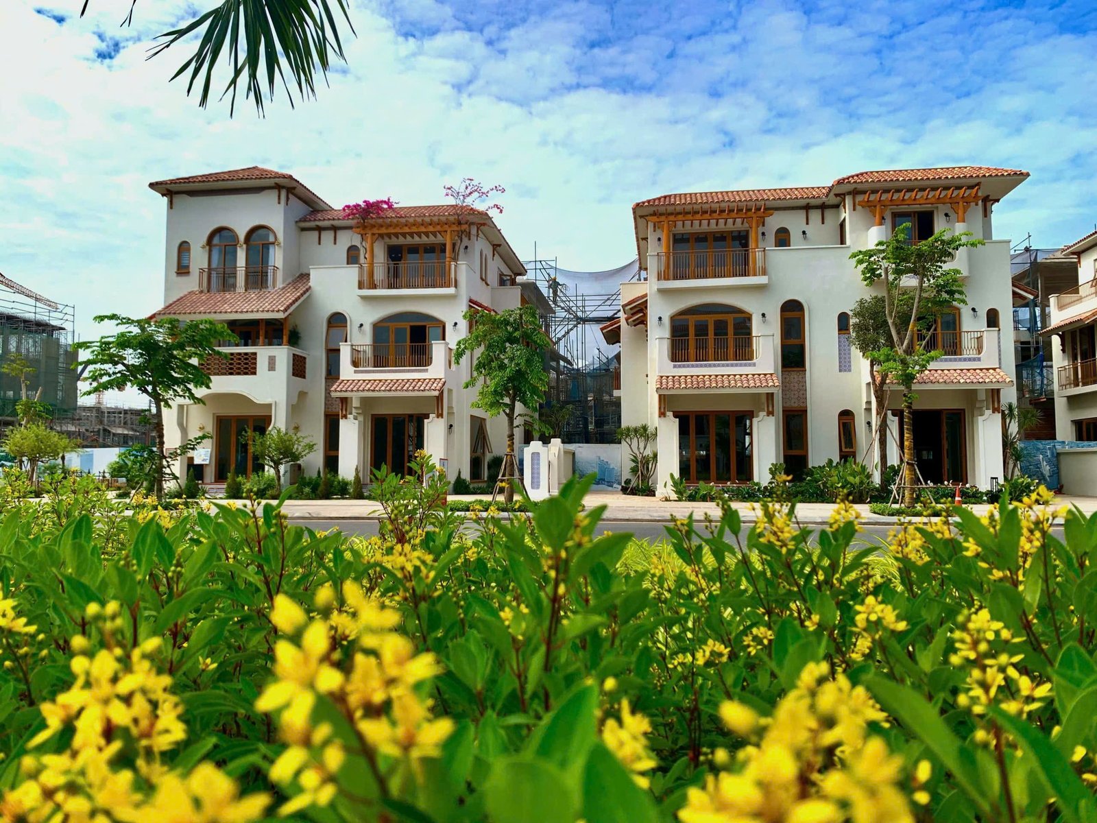 Không gian xanh nội khu và lối đi bộ nghệ thuật Blanca City